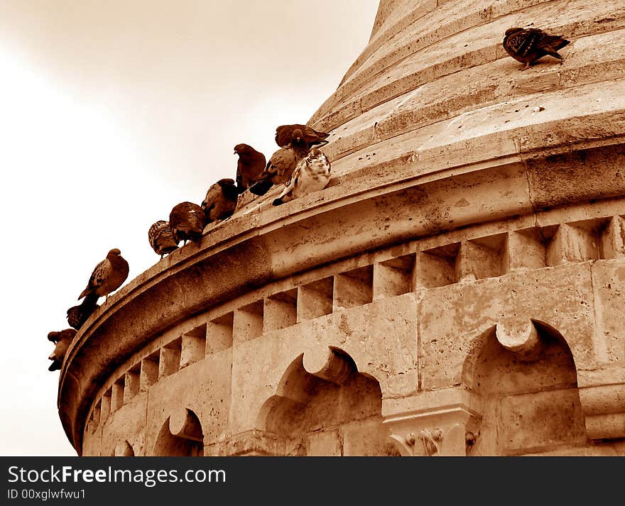 Pigeons on the roof of historical building in Budapest. Pigeons on the roof of historical building in Budapest