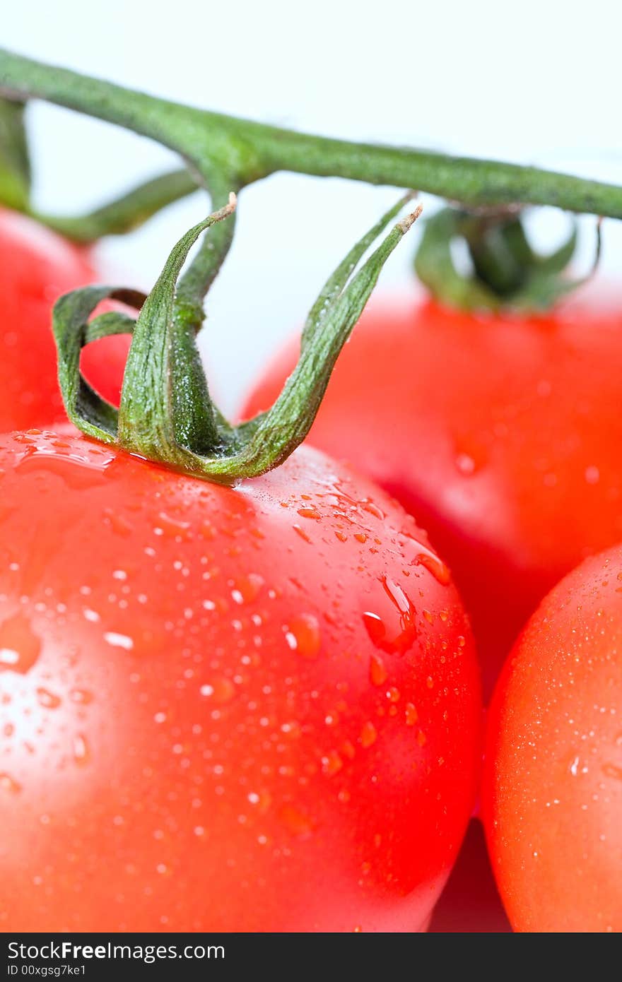 Fresh tomatoes, isolated on white