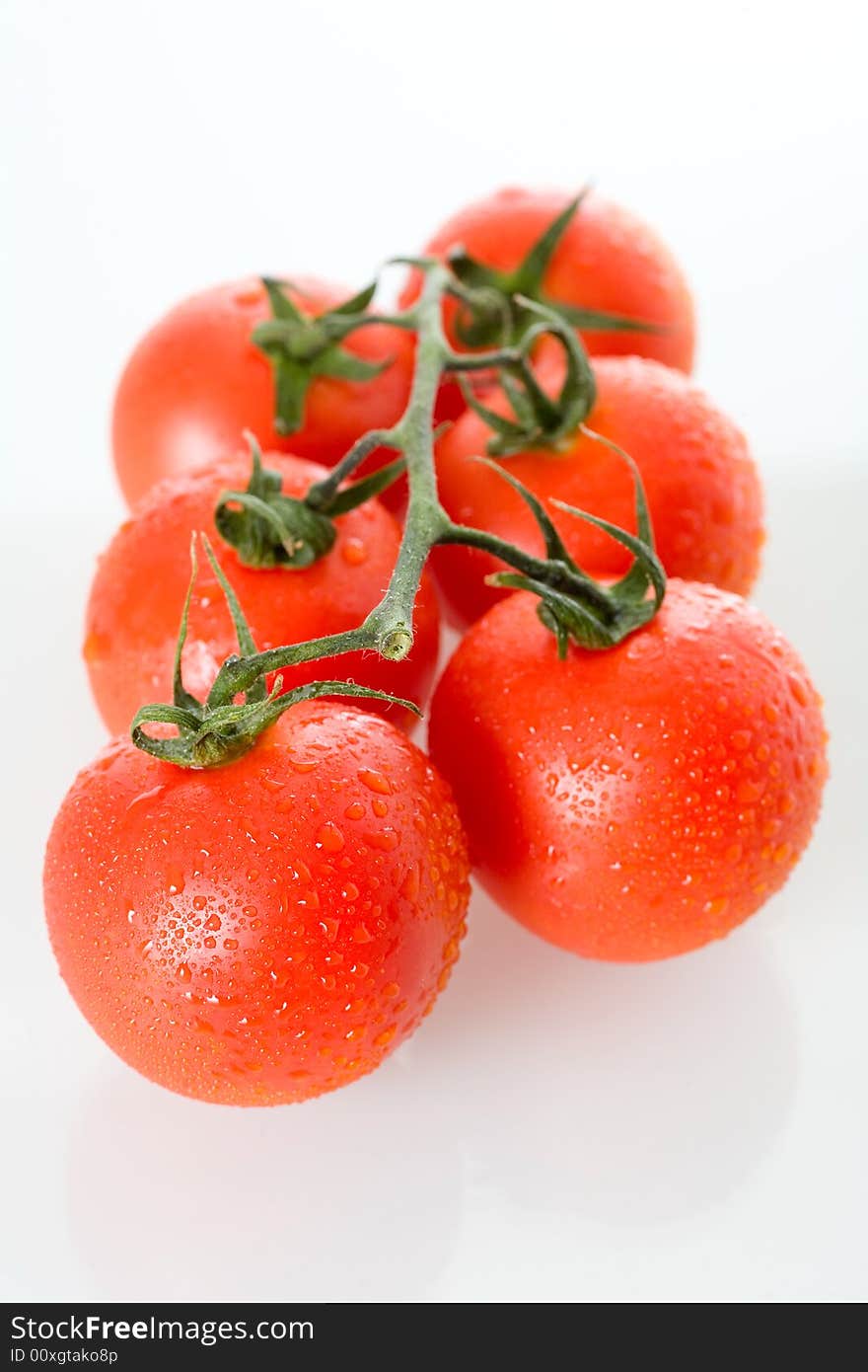 Fresh tomatoes, isolated on white