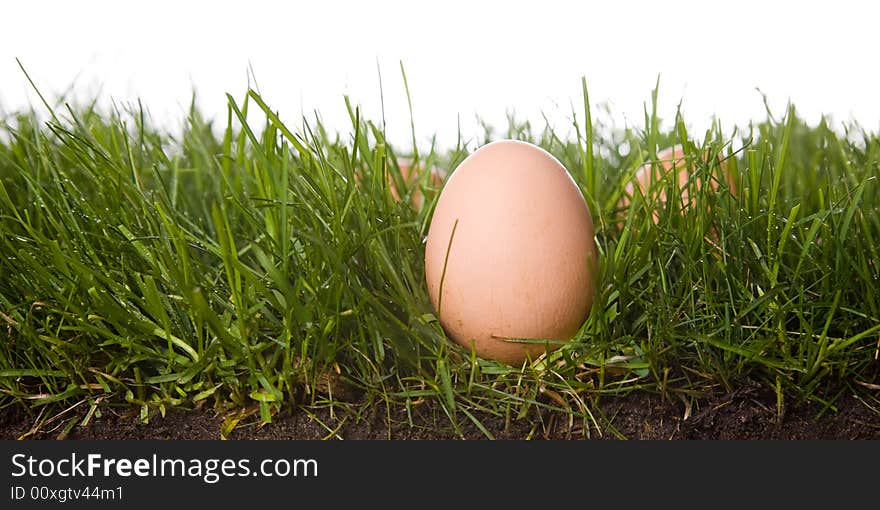 Fresh eggs on grass . isolated on a white background. please have a look at my other images about this theme. Fresh eggs on grass . isolated on a white background. please have a look at my other images about this theme