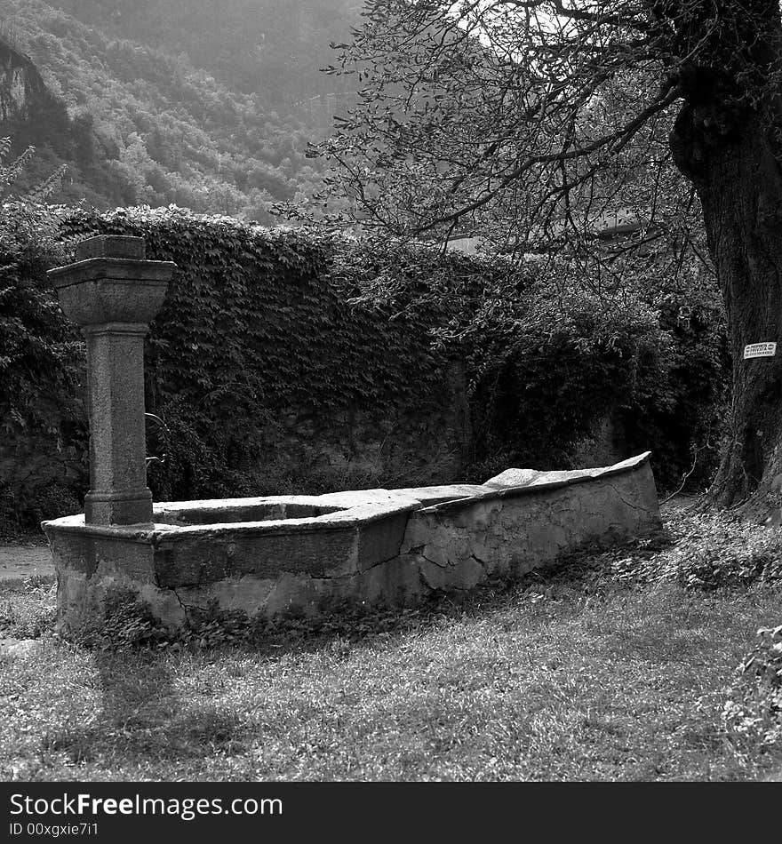 Fountain with water in a garden