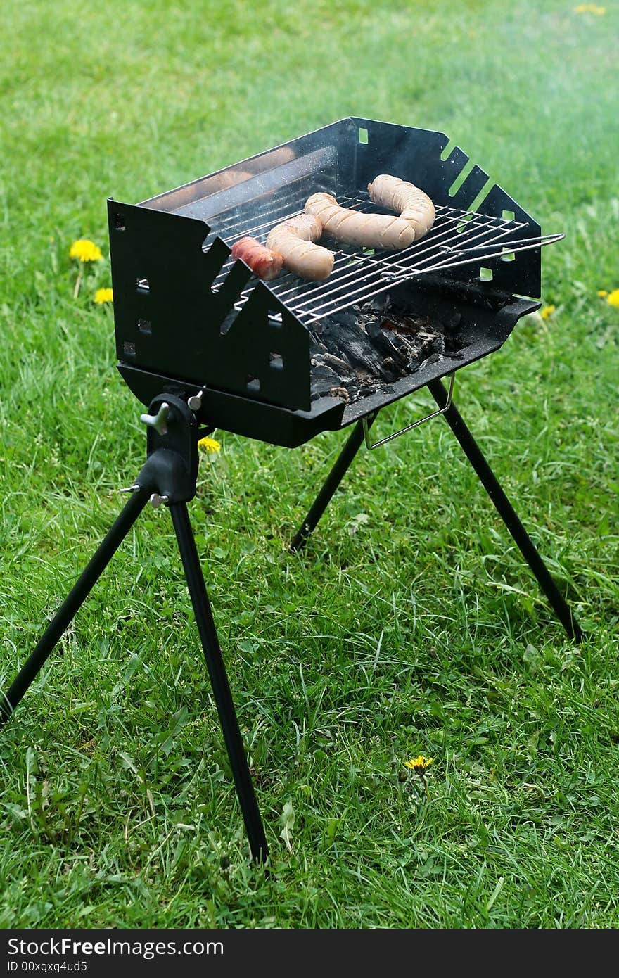 Meal on the grill, barbecue