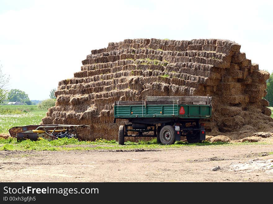 Harvest