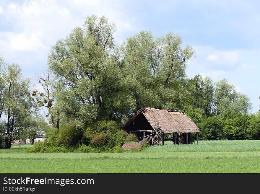 Old house next to trees. Old house next to trees