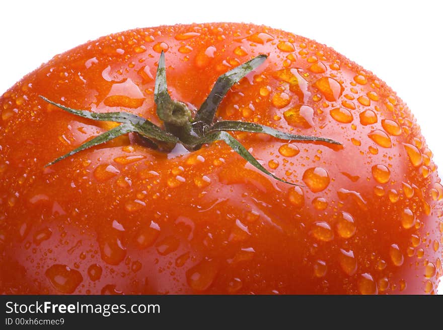 Macro fresh tomato on white background. Macro fresh tomato on white background