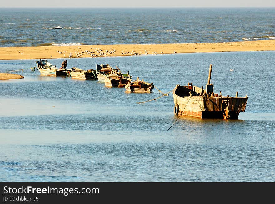 Fishing boat and sea gull in a small fishing port