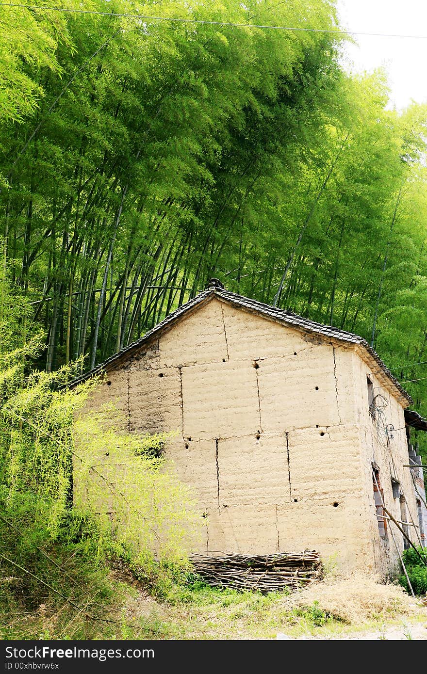 Old house among bamboo