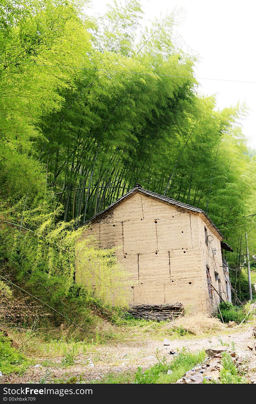 Old house among green bamboo. Old house among green bamboo