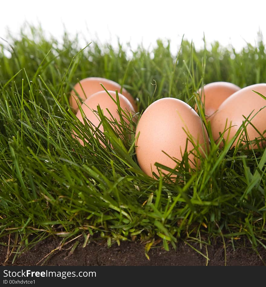 Fresh eggs on grass . isolated on a white background. please have a look at my other images about this theme. Fresh eggs on grass . isolated on a white background. please have a look at my other images about this theme