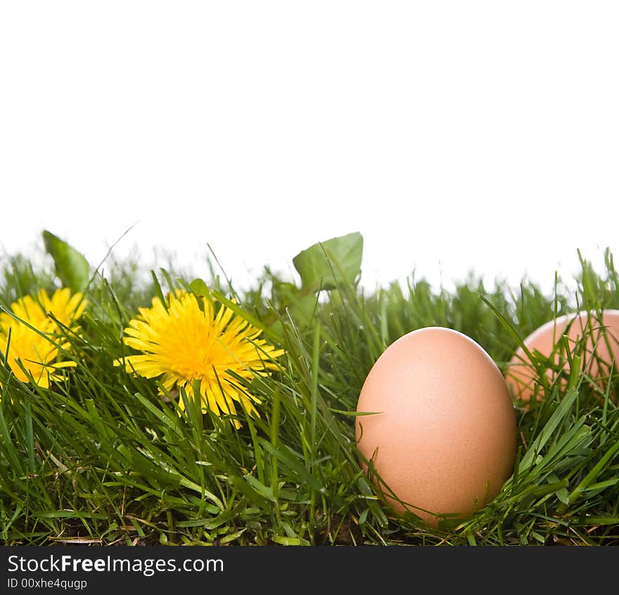 Fresh eggs on grass . isolated on a white background. please have a look at my other images about this theme. Fresh eggs on grass . isolated on a white background. please have a look at my other images about this theme