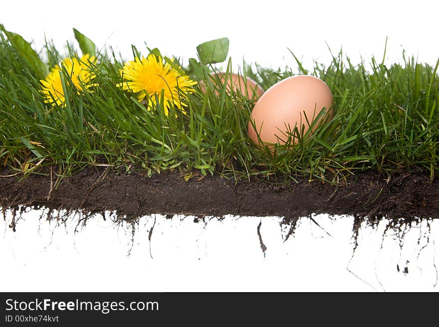 Fresh eggs on grass . isolated on a white background. please have a look at my other images about this theme. Fresh eggs on grass . isolated on a white background. please have a look at my other images about this theme