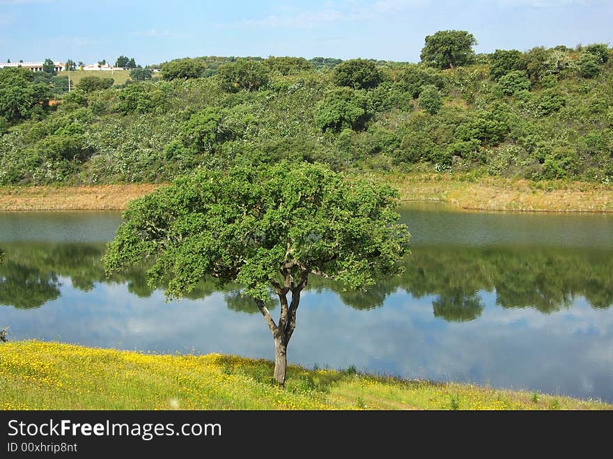 Landscape in the water .