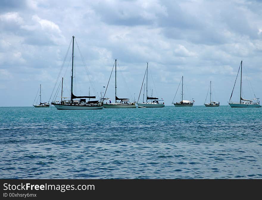 Several yachts and other boats on the seaa in Placencia, Belize. Several yachts and other boats on the seaa in Placencia, Belize