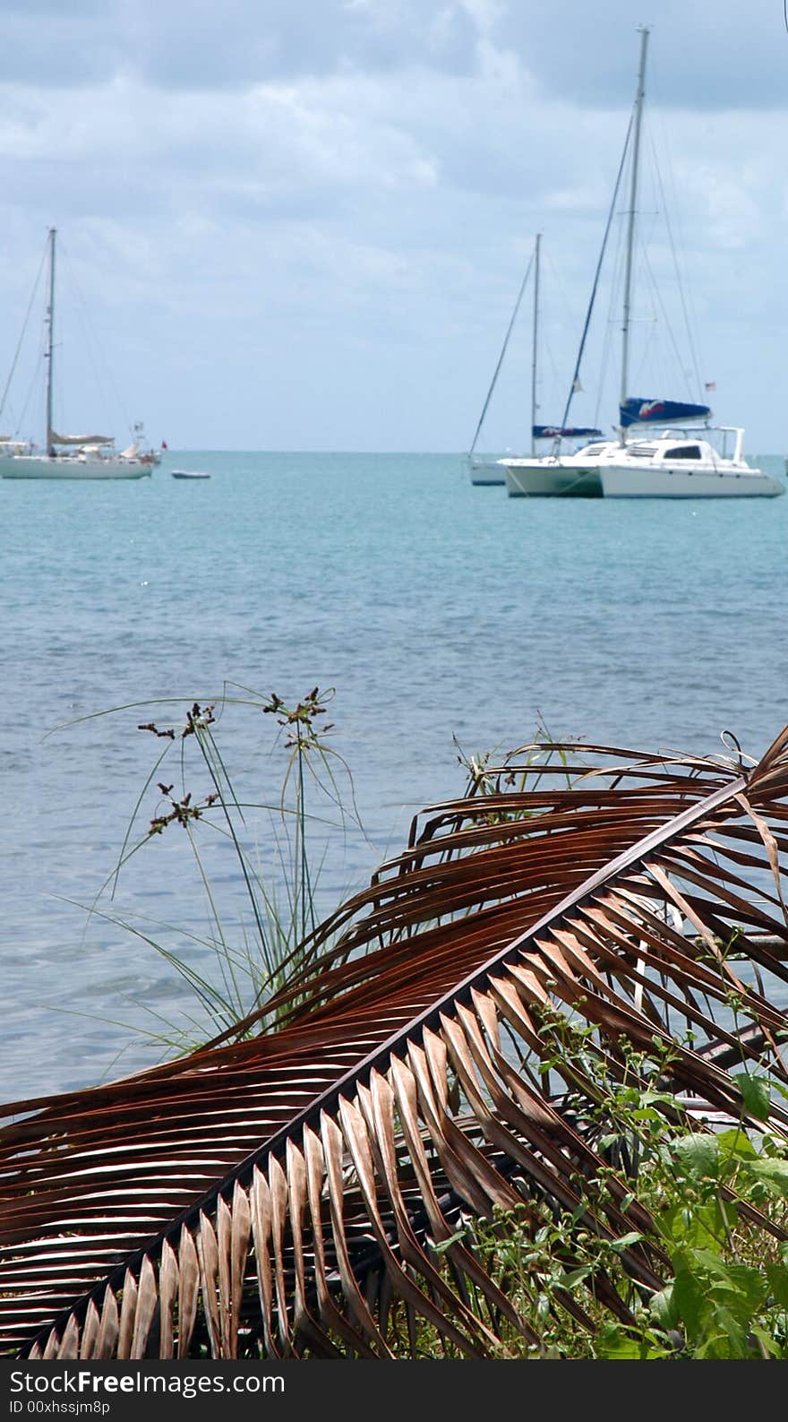 Yachts and other boats on the sea in Placencia, Belize. Yachts and other boats on the sea in Placencia, Belize