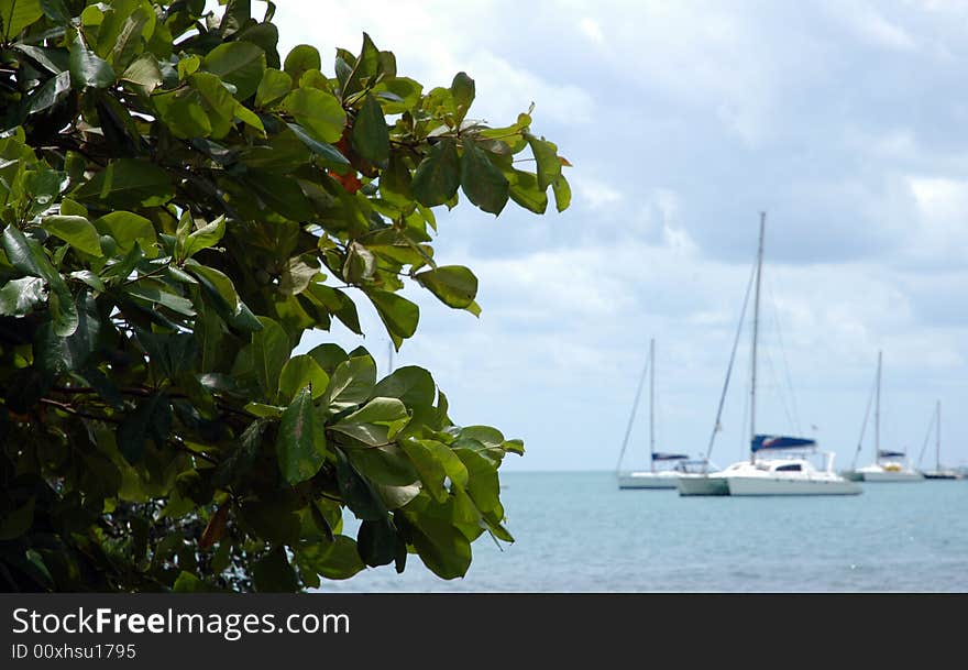 Yachts and other boats on the sea in Placencia, Belize. Yachts and other boats on the sea in Placencia, Belize