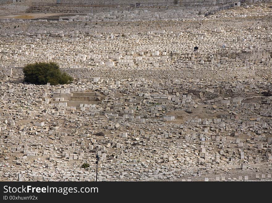 Structure of cemetery on Olive mountain in Jerusalem. Structure of cemetery on Olive mountain in Jerusalem.