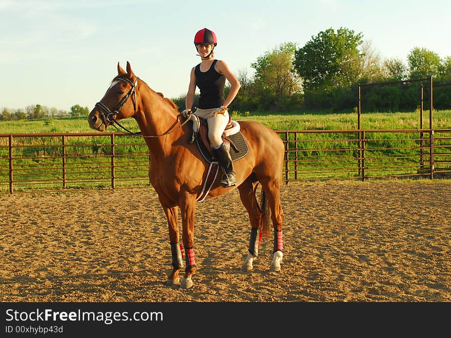 Happy girl sitting on her new thoroughbred horse. Happy girl sitting on her new thoroughbred horse.