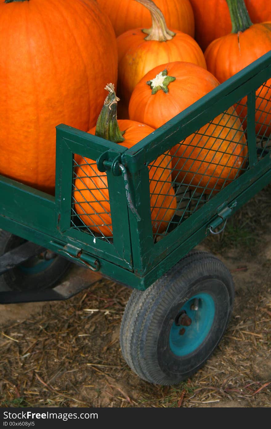 Close up of Pumpkins in a Wagon