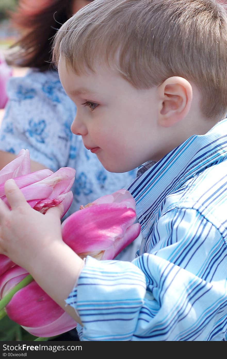 A side shot of a young boy in a blue shirt smelling flowers. A side shot of a young boy in a blue shirt smelling flowers.