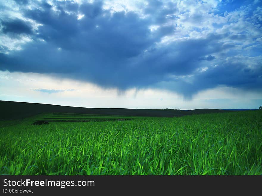 Green field and blue sky with thunder-clouds. Green field and blue sky with thunder-clouds