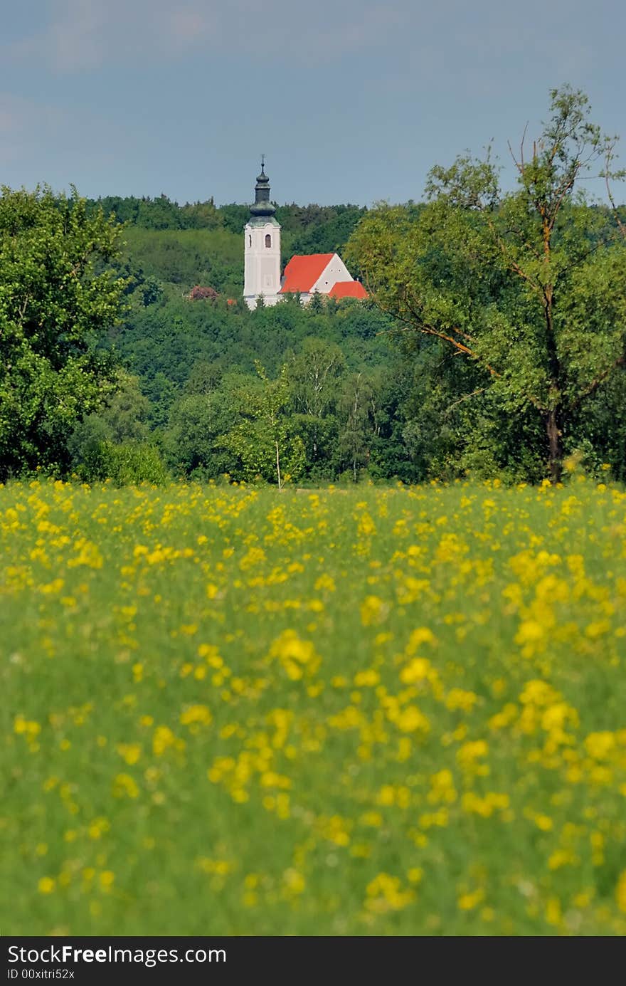 Church and rape field no.1