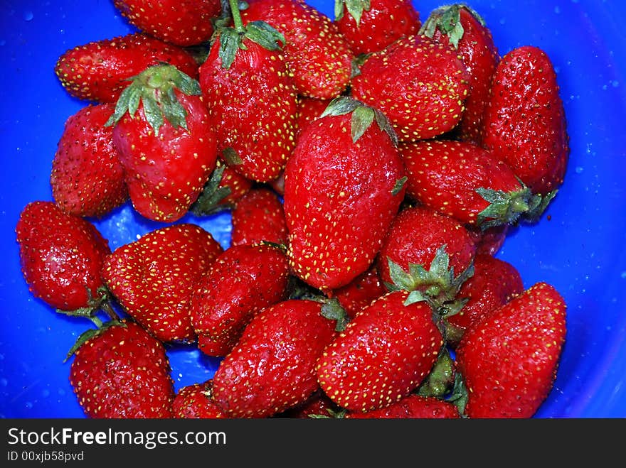 Fresh strawberries on blue background