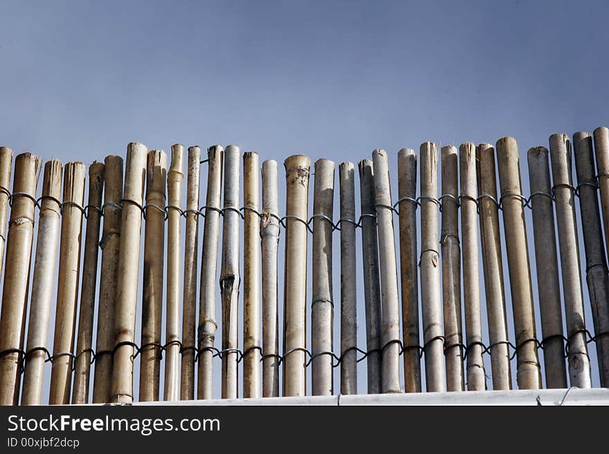 Bamboo Fence and Sky