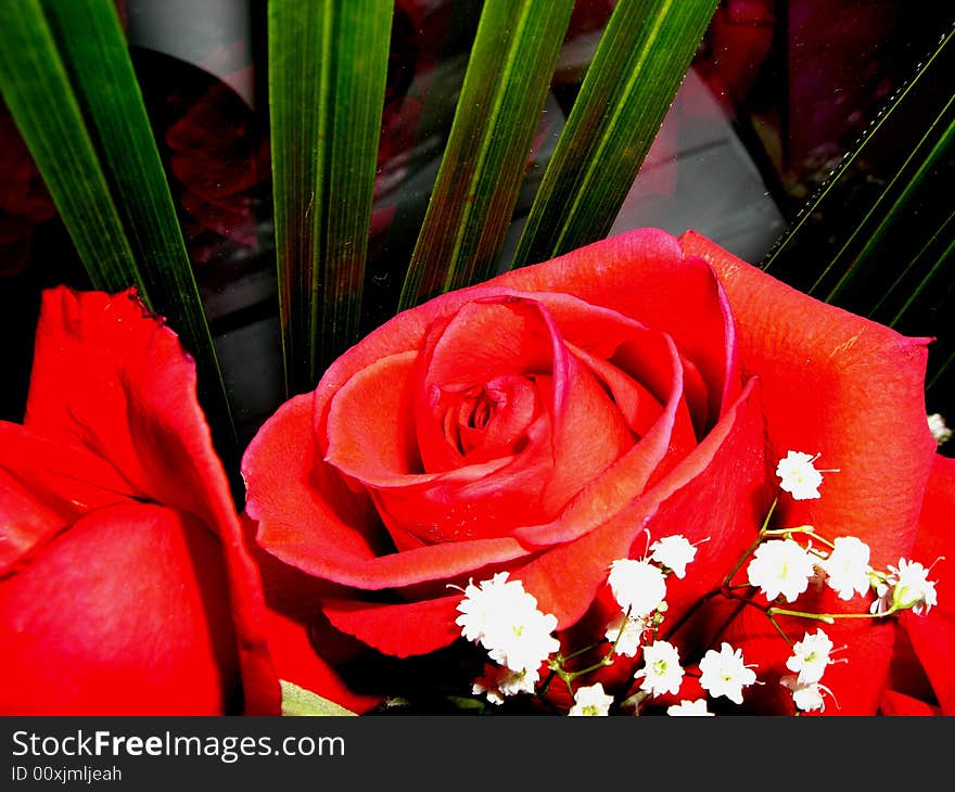 A beautiful bunch of red roses and small white flowers.