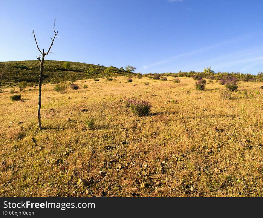 The picture of the sunset in the typical north Portugal hills