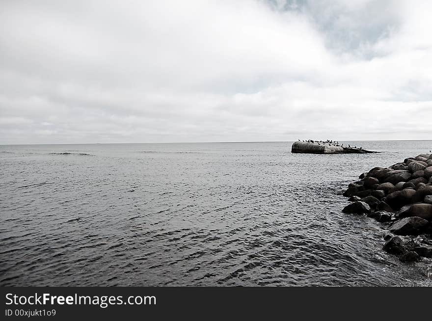 The small island with birds. The small island with birds.