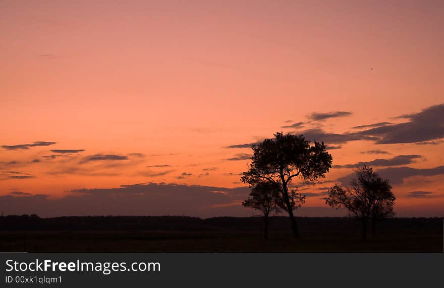 Beautiful summer sunset panorama with trees. Beautiful summer sunset panorama with trees