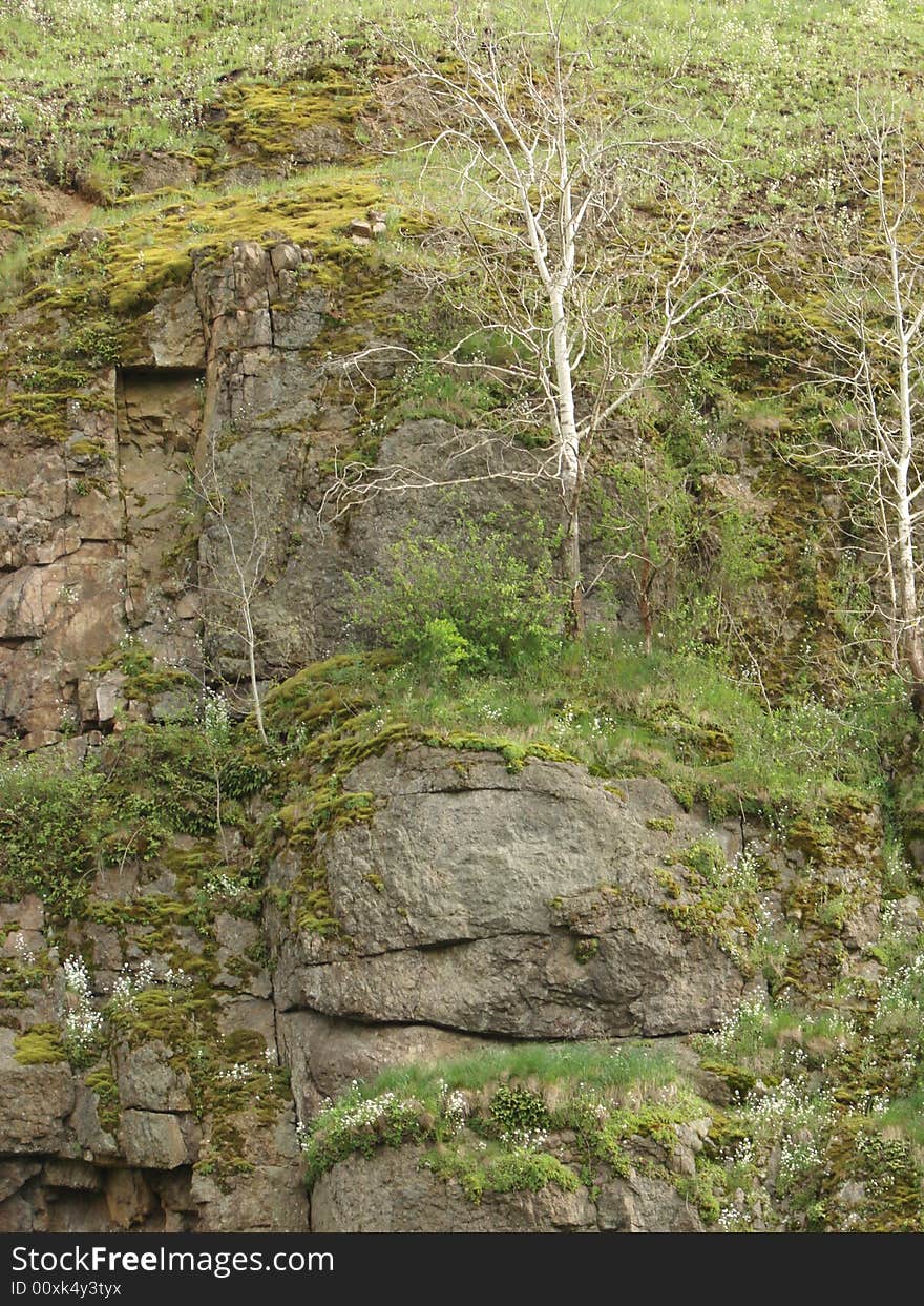 Hill rock with grass trees and moss