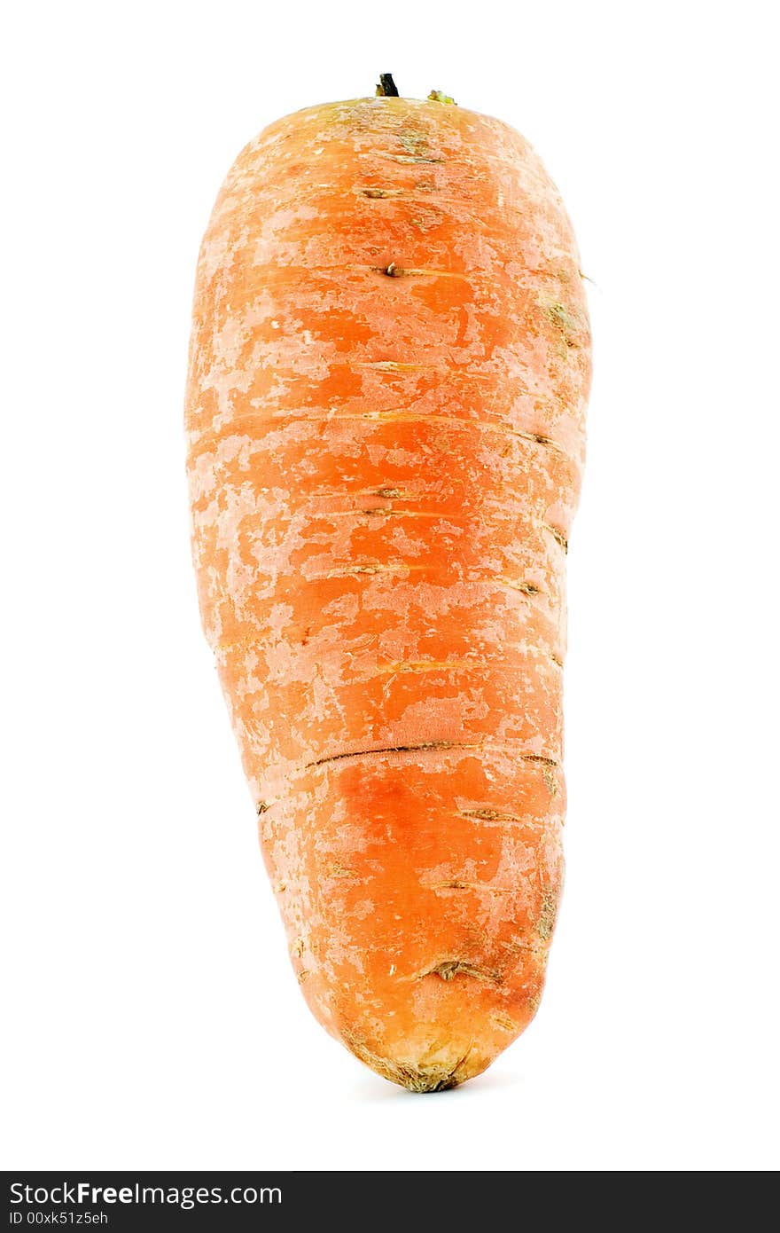 Carrot