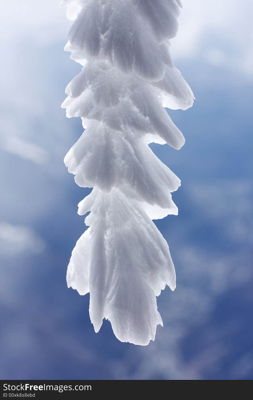 Icicles with wind driven snow deposits forming a feathery pattern. Icicles with wind driven snow deposits forming a feathery pattern