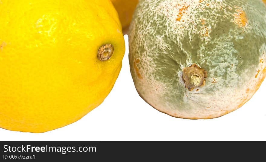 White-green mould covered lemon beside a fresh one. White-green mould covered lemon beside a fresh one.