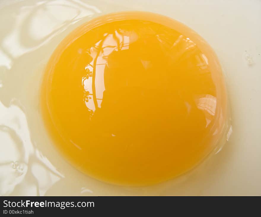 Egg yolk