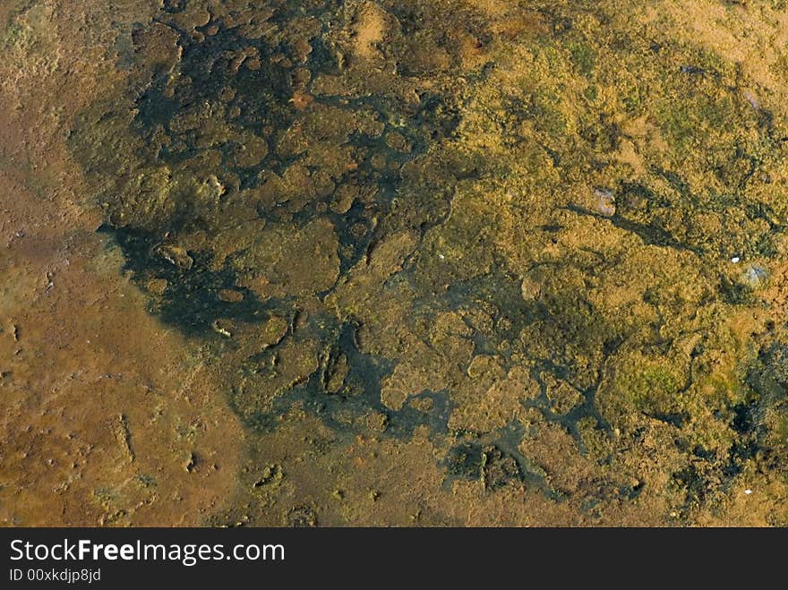 Grunge background texture on dirty water. Grunge background texture on dirty water