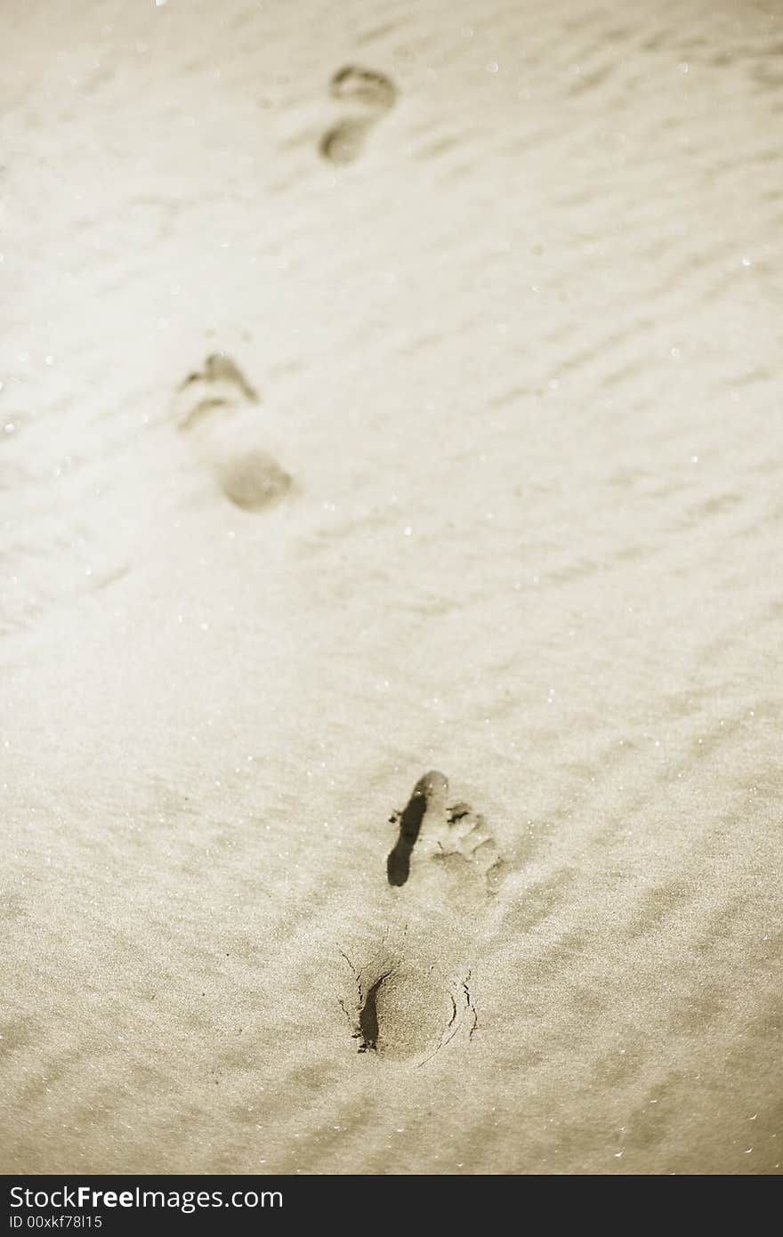 Footprints in sand, selective focus. Footprints in sand, selective focus.