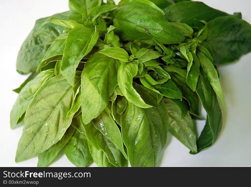 Basil