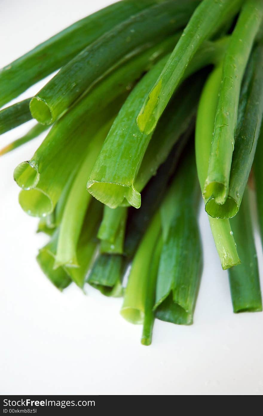 A bundle of fresh green onions