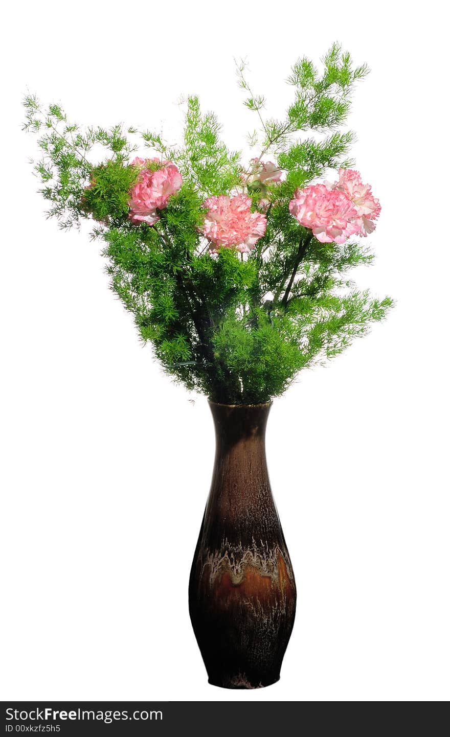 A vase with  flowers  isolated