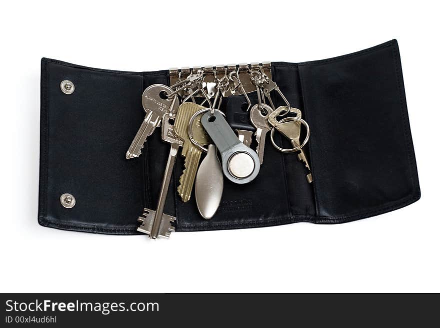 Leather key holder