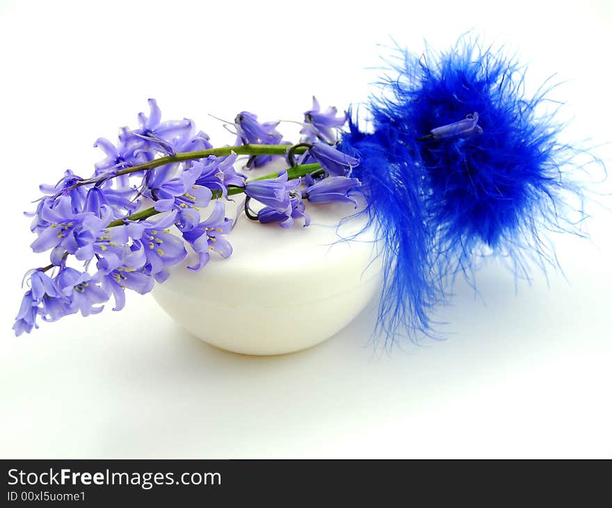 Cosmetics, cream with flowers and plumage. Cosmetics, cream with flowers and plumage