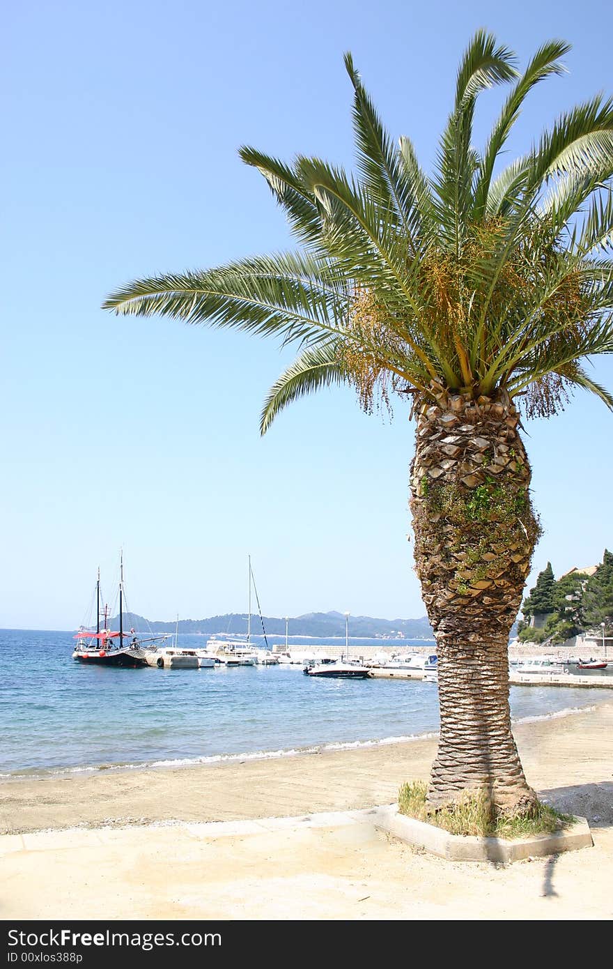 Palma overlooking the sea.