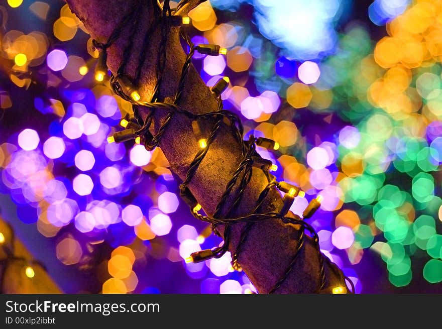 Christmas lights wrapped around a tree branch. Christmas lights wrapped around a tree branch.