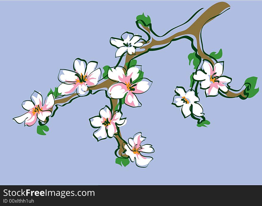 Simple coloured drawing of blosomed fruit tree branch. Simple coloured drawing of blosomed fruit tree branch