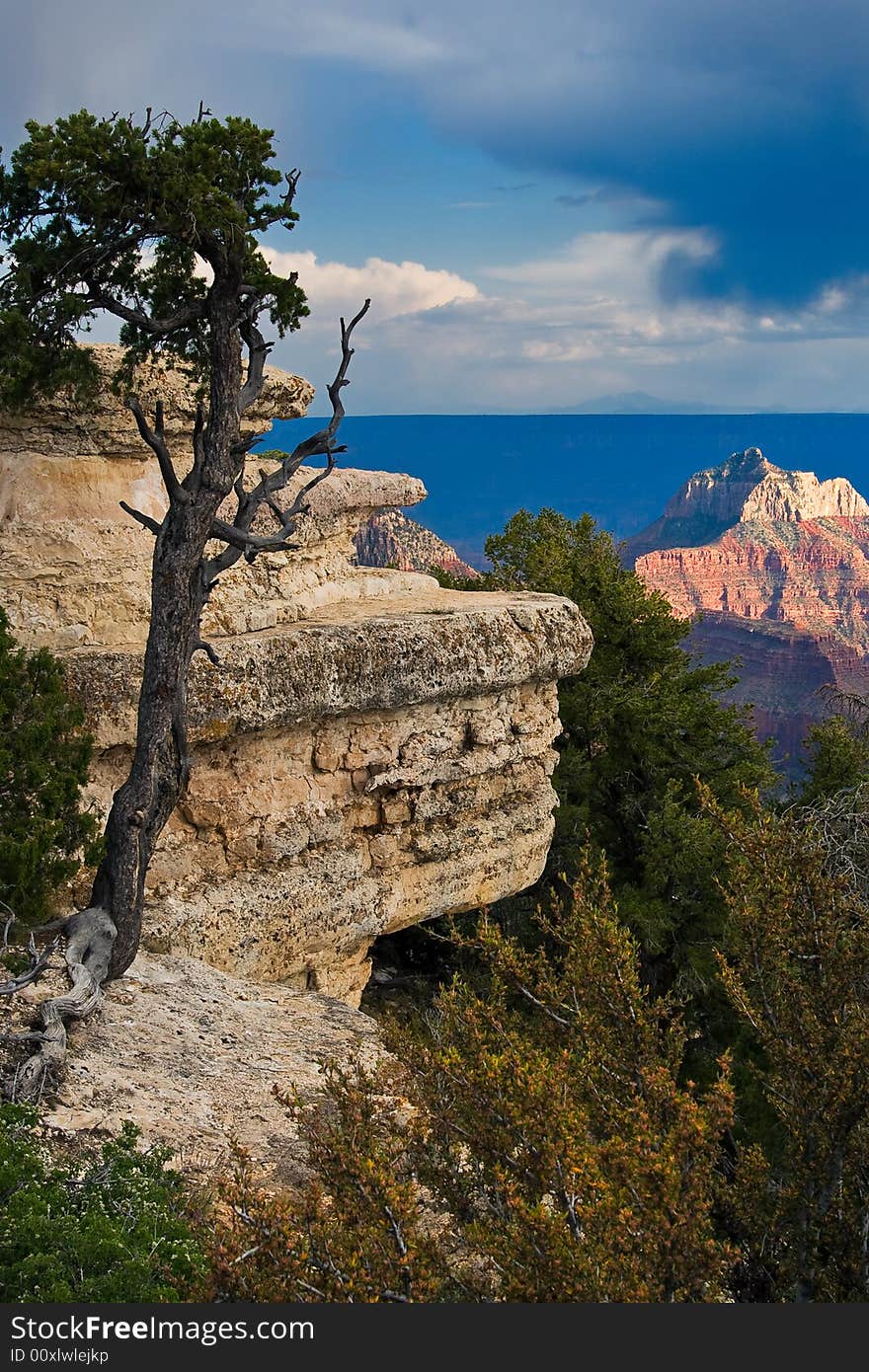 A view from the North Rim of Grand Canyon National Park. A view from the North Rim of Grand Canyon National Park.