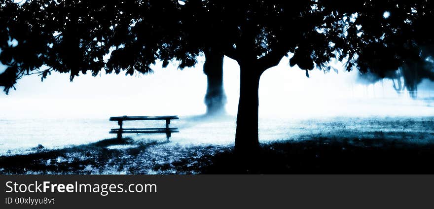 Misty Dawn with park bench