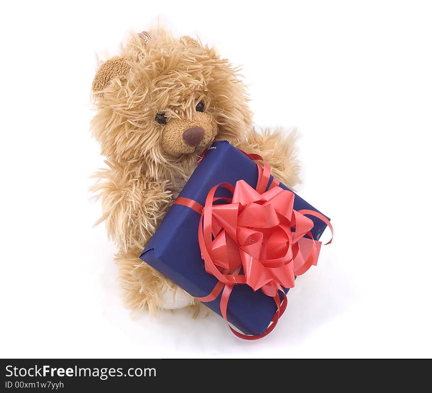 Teddy bear with gift box