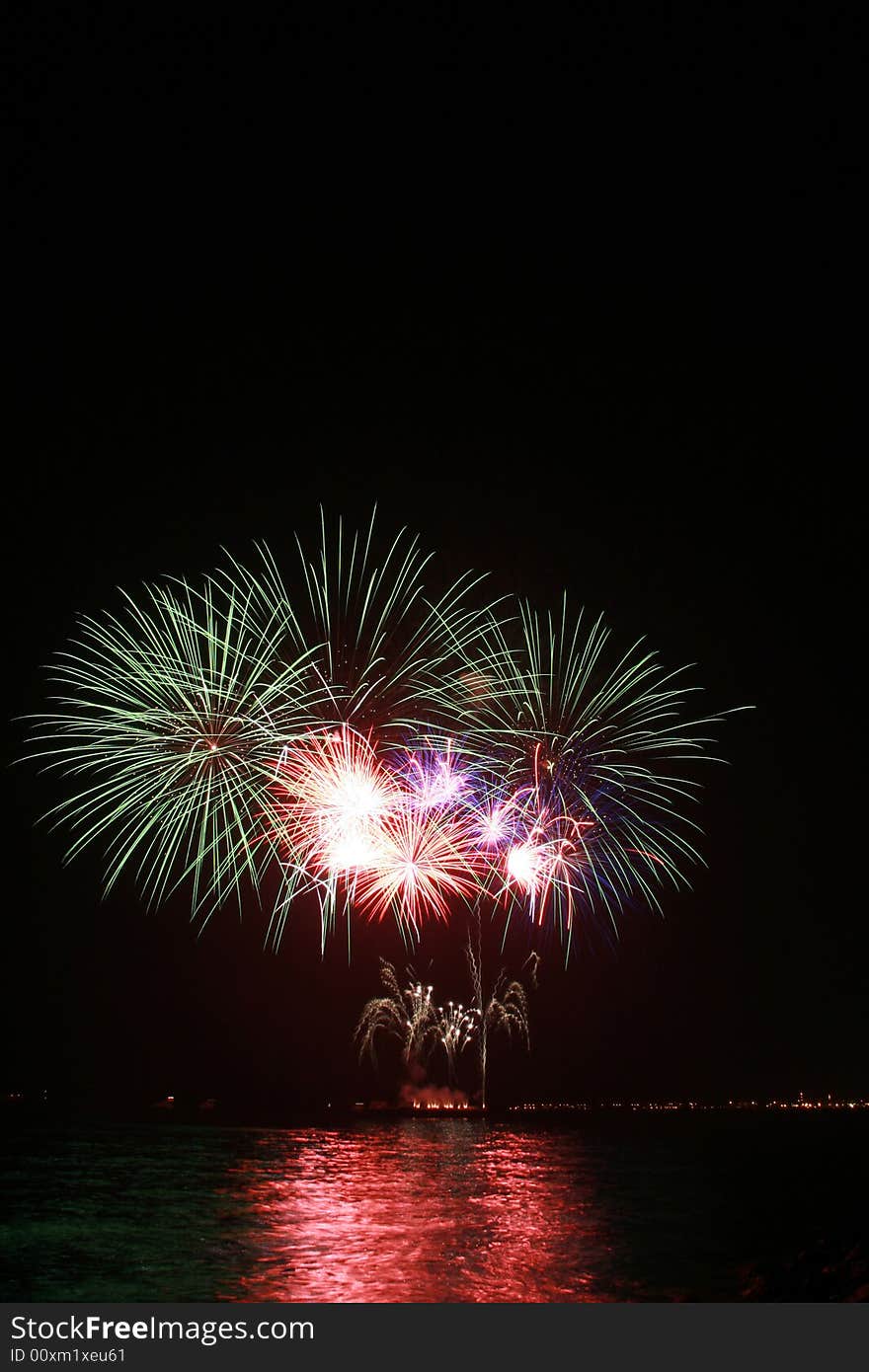 Colorful dandelion fireworks by the bay